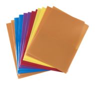Two Pocket Regular Weight Plastic Presentation Folders (Pack of 12)