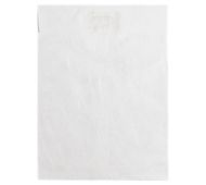 9 x 12 Open End Press Seal Envelopes - 100 Pack