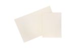 Two Pocket Plastic Glitter Folders (Pack of 6) Ivory