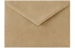 5 1/2 BAR Envelope (4 3/8 x 5 3/4) Grocery Bag