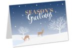 Rachael Hale A7 Folded Card Set (Pack of 10) Seasons Greetings