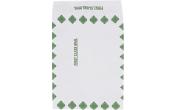 10 x 13 x 1 1/2 First Class Expandable Open End Tyvek Envelope