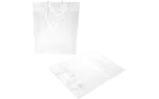 8 5/8 x 3 x 10 3/4 Clear Colored Gift Bag (Pack of 10)