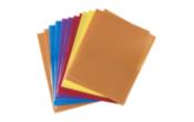 Two Pocket Regular Weight Plastic Presentation Folders (Pack of 12)
