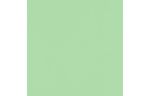 A1 Drop-In Envelope Liner (4 5/8 x 4 1/4) Pastel Green
