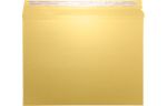 LUX Mailer (9 1/2 x 12 1/2) Gold Metallic