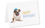 Rachael Hale A7 Folded Card Set (Pack of 10) Rachael Hale Dog