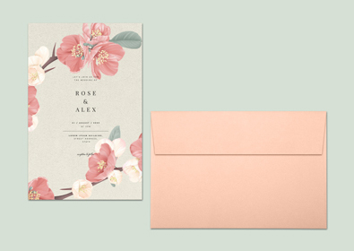  | Envelopes.com
