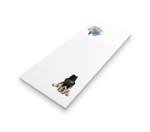 Notepads | Envelopes.com