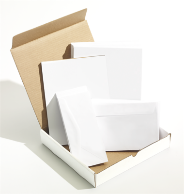 printed envelopes for business