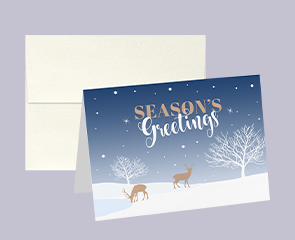 Folded Holiday Card Sets | Envelopes.com